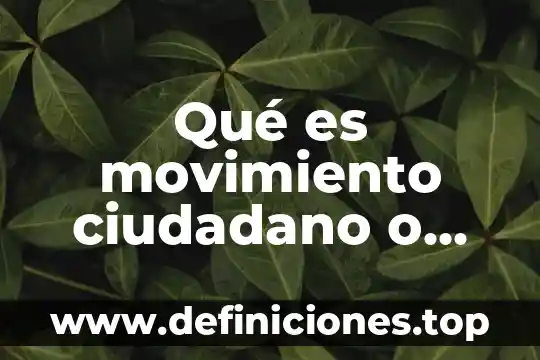 Qué es movimiento ciudadano o social