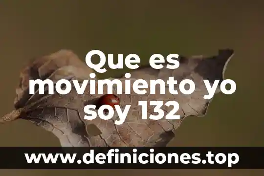 Que es movimiento yo soy 132