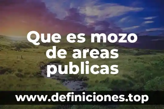 Qué es la contabilidad y finanzas públicas 5 Que es mozo de areas publicas