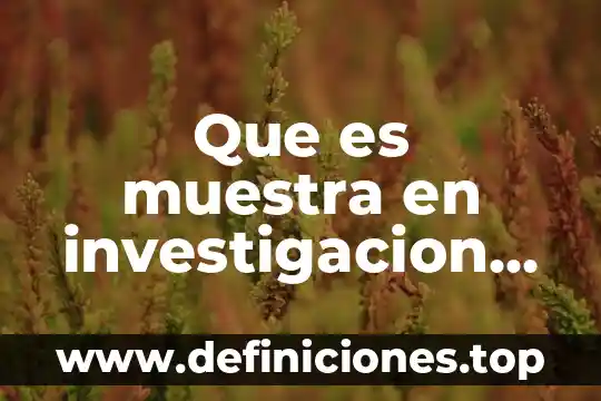 Que es una apertura de nuevos mercados 6 Que es muestra en investigacion de mercados