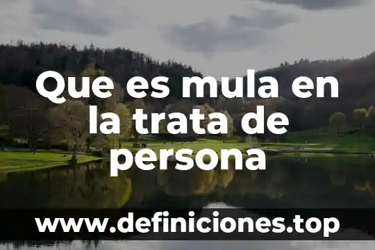 Que es mula en la trata de persona