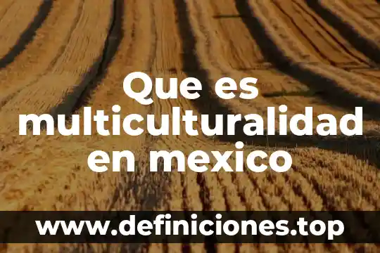 Que es multiculturalidad en mexico