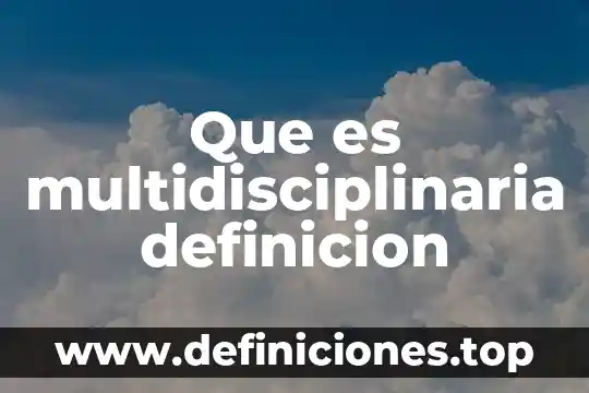 Que es multidisciplinaria definicion