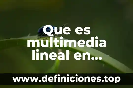 Que es tiempo no lineal 8 Que es multimedia lineal en informatica