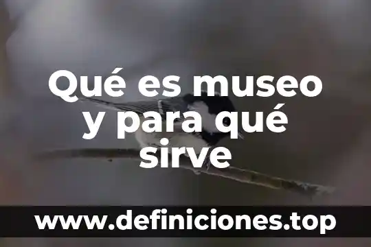 Que es el museo de culturas populares 4 Qué es museo y para qué sirve