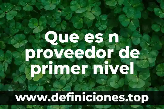 Que es ser un proveedor estrategico 6 Que es n proveedor de primer nivel