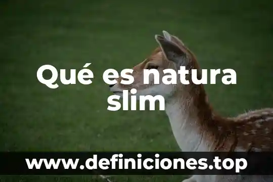 Qué es fascitis plantar crónica 8 Qué es natura slim