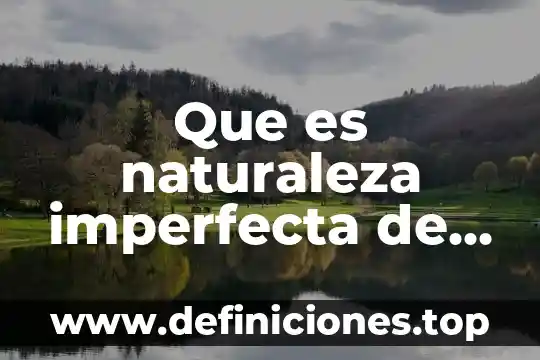 Adhesivos a base de resinas plásticas que es 7 Que es naturaleza imperfecta de la norma del derecho internacional