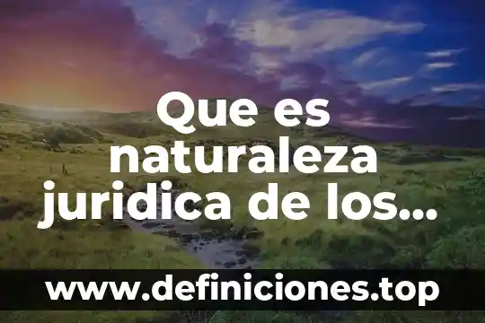 Por que es imortante una estructura 8 Que es naturaleza juridica de los organos desconcentrados