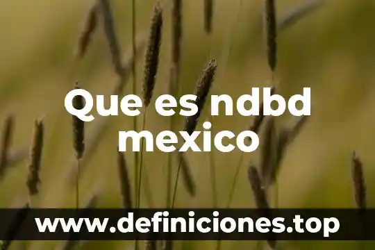 Que es ndbd mexico