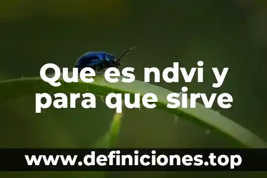 Que es ndvi y para que sirve