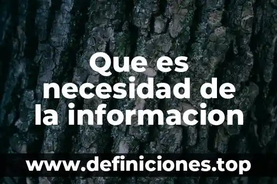 Que es necesidad de la informacion