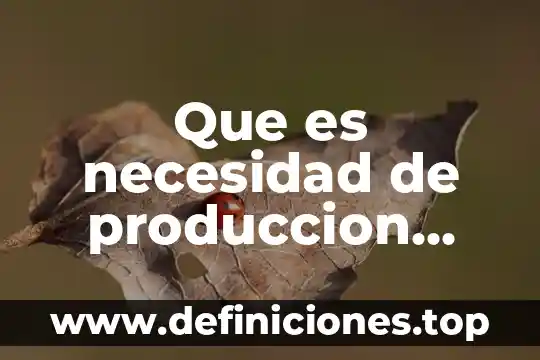 Que es necesidad de produccion concepto