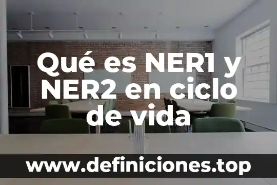 Qué es NER1 y NER2 en ciclo de vida