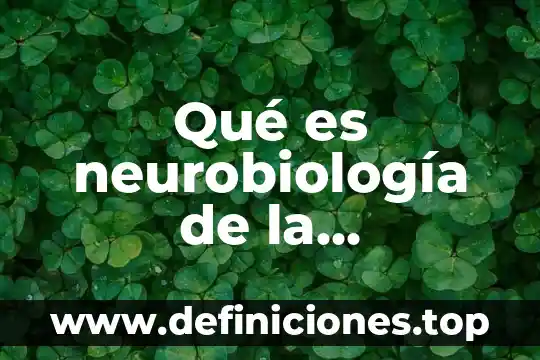 Qué es extinción de la personalidad internacional del estado 6 Qué es neurobiología de la personalidad en general