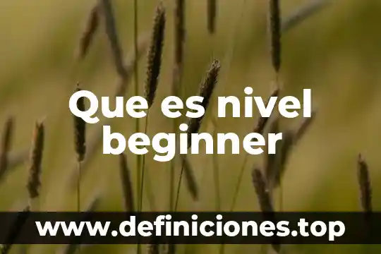 Que es programa ofimatico 5 Que es nivel beginner