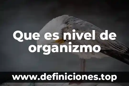 Que es en cualquier nivel p.u.o.t 6 Que es nivel de organizmo