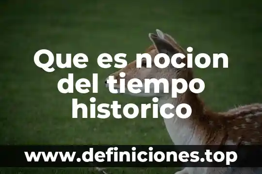 Que es un hecho historico personal 8 Que es nocion del tiempo historico