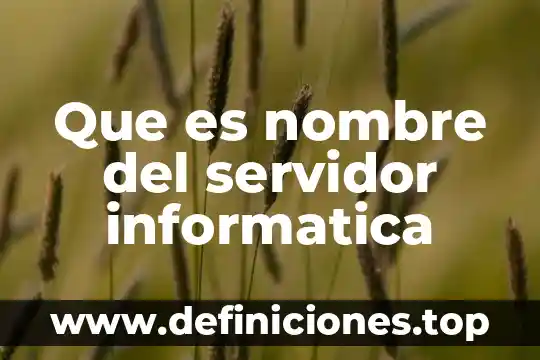 Que es el nombre trivial comun o antiguo 5 Que es nombre del servidor informatica