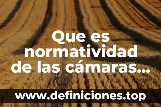 Que es el comercio subterraneo 5 Que es normatividad de las c谩maras de comercio