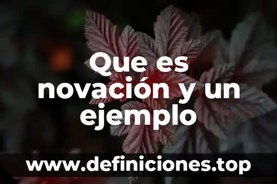 Que es novación y un ejemplo
