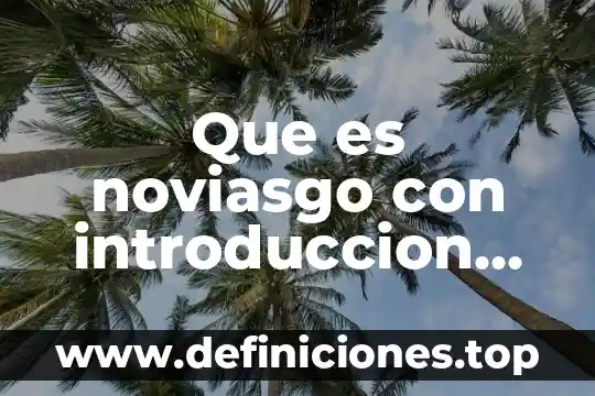 Que es noviasgo con introduccion desarrollo y conclucion