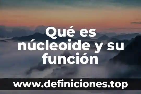 Qué es núcleoide y su función