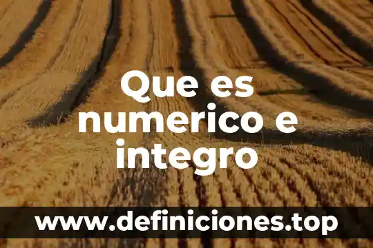Las terminaciones aba e ia en que es utilizado 3 Que es numerico e integro