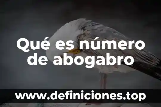 Qué es número de abogabro