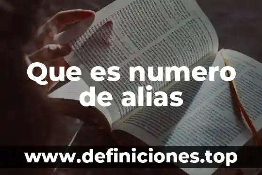 Que es un numero entero en access 8 Que es numero de alias