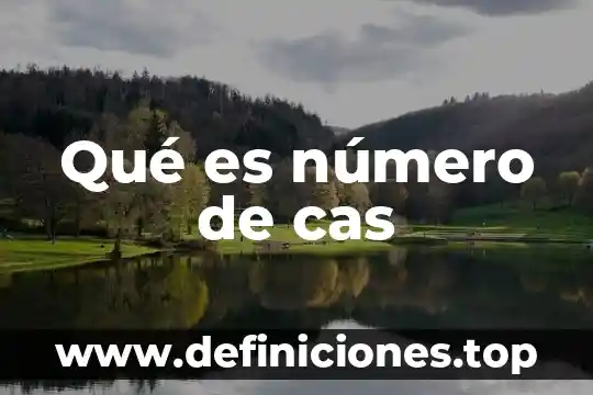 Qué es número de cas