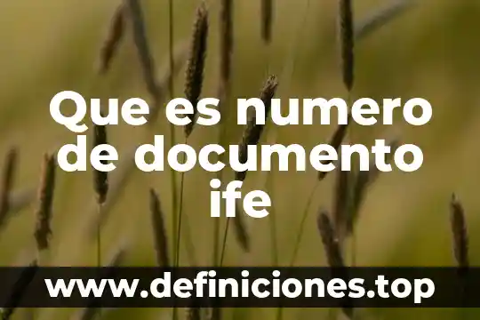 Que es numero de documento ife