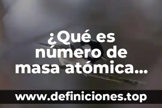 ¿Qué es número de masa atómica y número de masa?