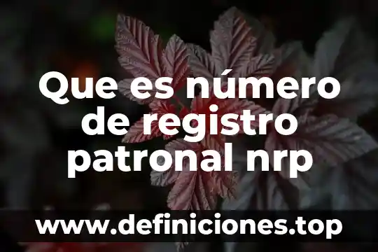Registro patronal infonavit que es 3 Que es número de registro patronal nrp