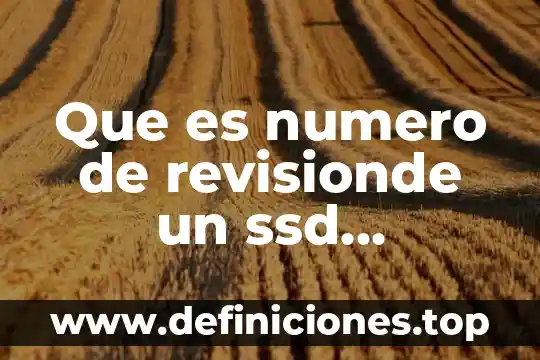 El yo integral que es 8 Que es numero de revisionde un ssd kingston