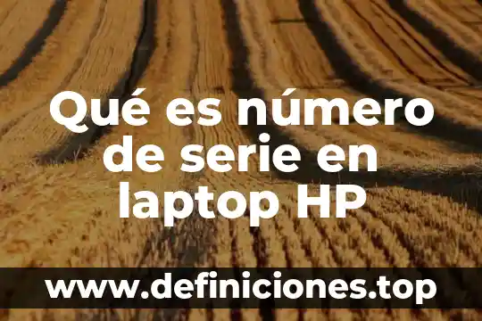 Que es mejor procesador o ram en laptop 4 Qué es número de serie en laptop HP