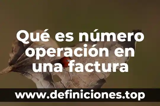 Qué es el rene cyt número de rencyt 6 Qué es número operación en una factura