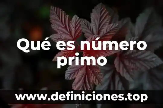 Qué es número primo