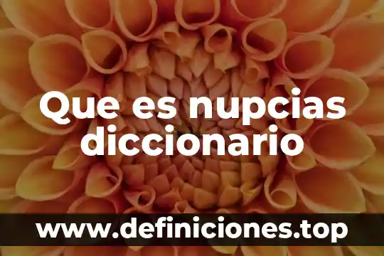 Que es nupcias diccionario