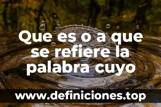 Que es una palabra irracional 8 Que es o a que se refiere la palabra cuyo