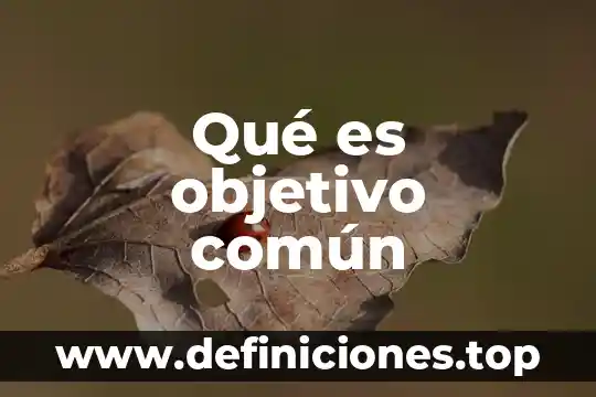 Fin común que es 7 Qué es objetivo común