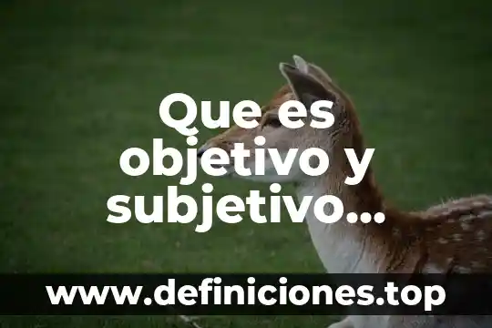 Secretaria de hacienda y credito publico para que es 4 Que es objetivo y subjetivo yahoo