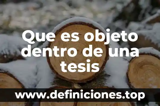 Que es objeto dentro de una tesis