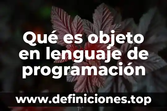 Que es el lenguaje juridico y realidad 7 Qué es objeto en lenguaje de programación