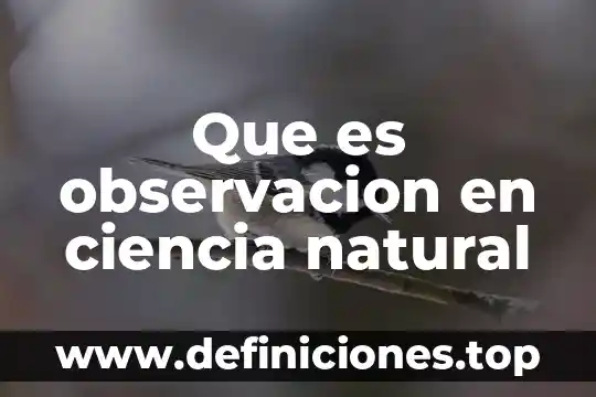 Que es observacion en ciencia natural