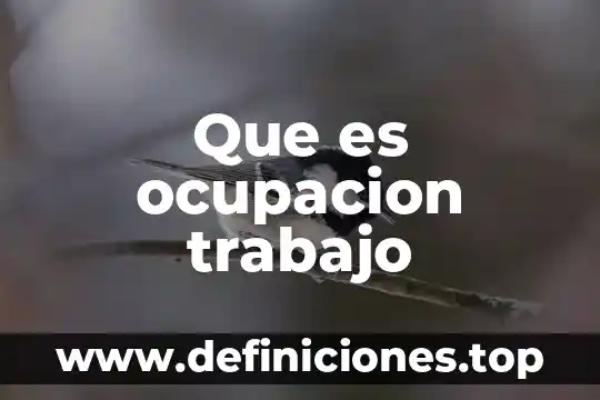 Que es ocupacion trabajo