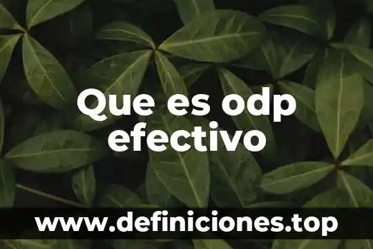 Que es un desembolso de efectivo 5 Que es odp efectivo