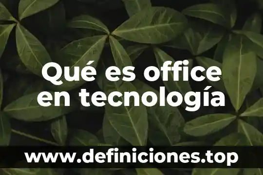 Que es el puerto de audio de una computadora 5 Qué es office en tecnología