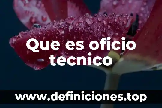 Que es oficio tecnico