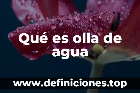 Desperdicio del agua que es 3 Qué es olla de agua